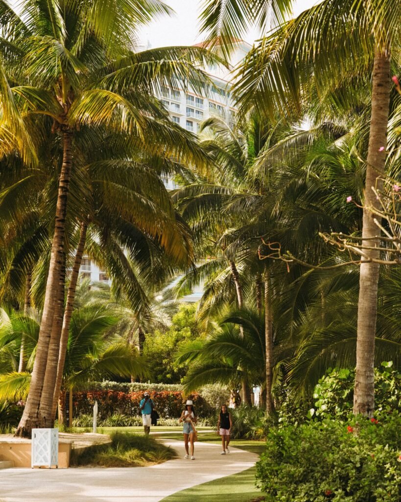 Bahamas yacht charter