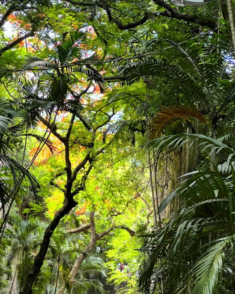 Bahamas yacht charter