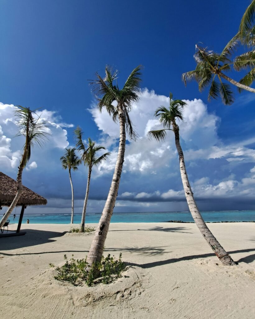 Bahamas yacht charter