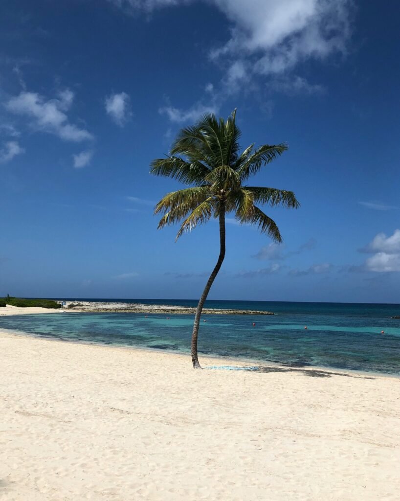 Bahamas yacht charter