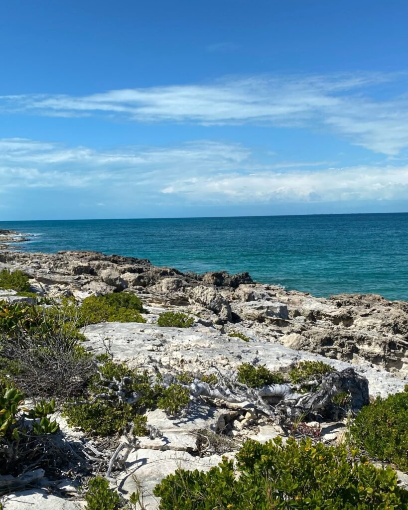 Bahamas yacht charter