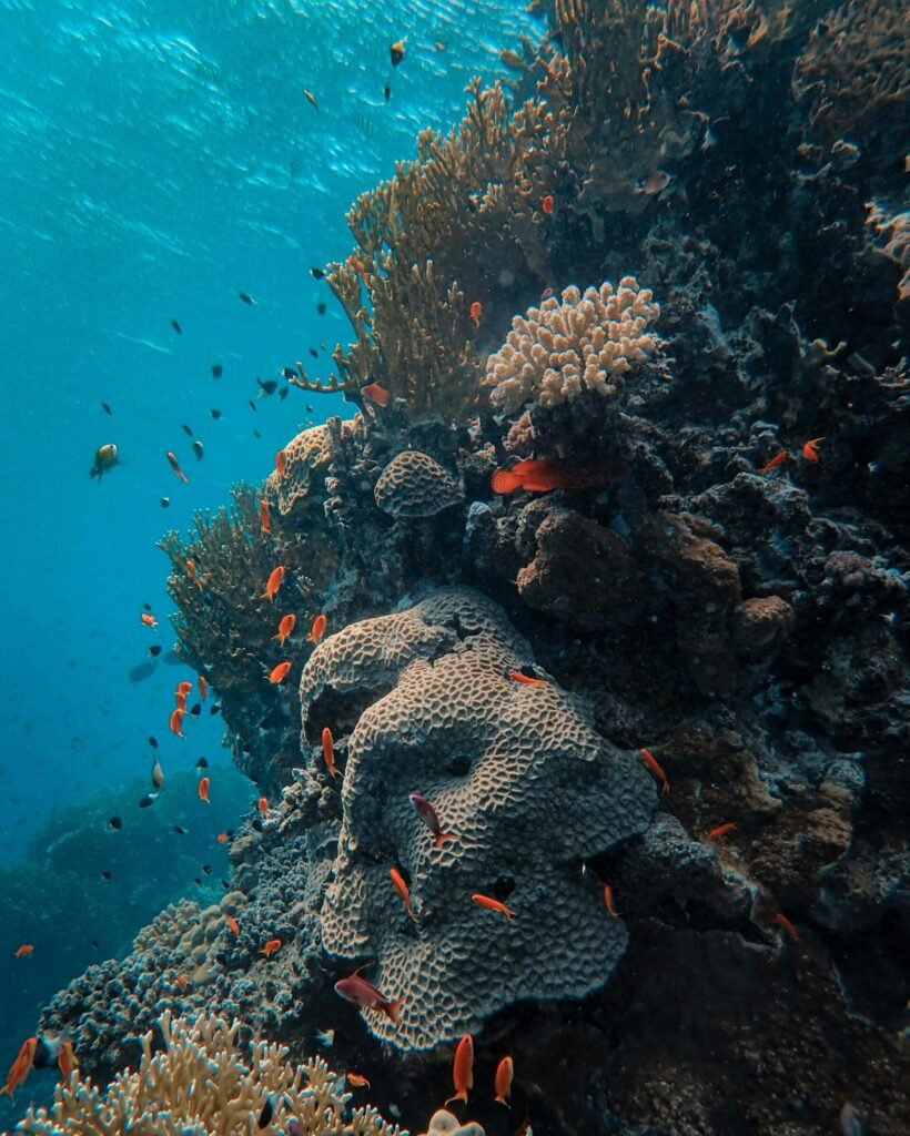 Bahamas yacht charter