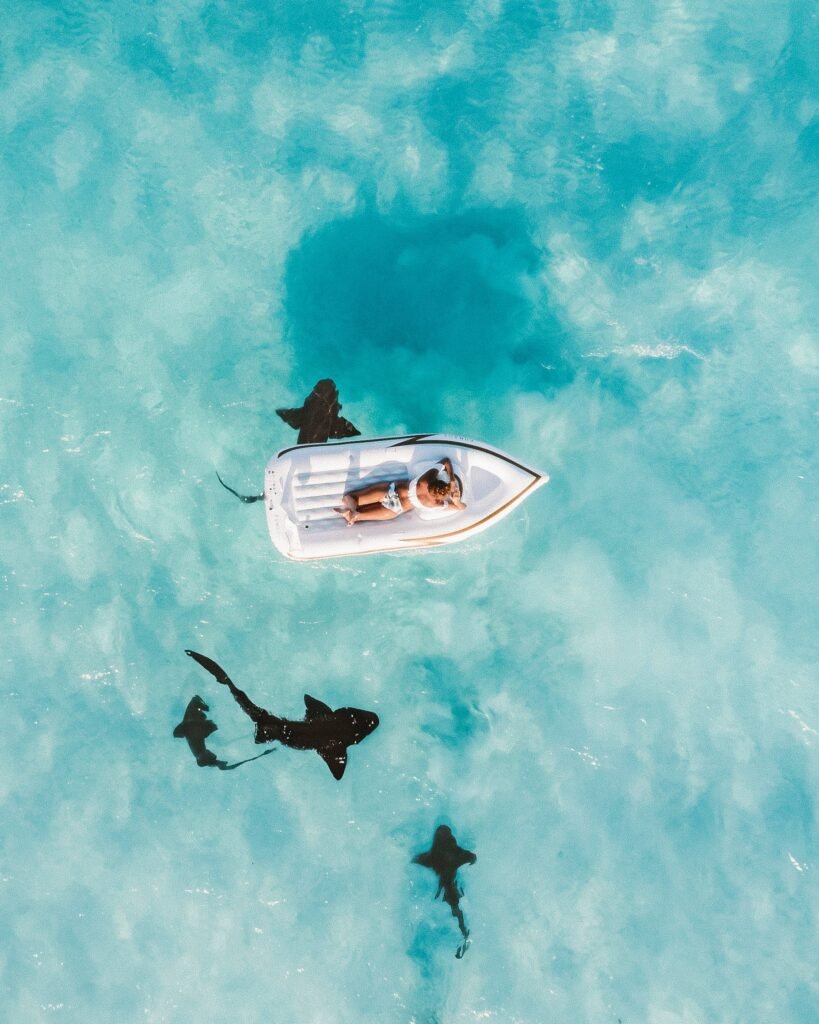 Bahamas yacht charter