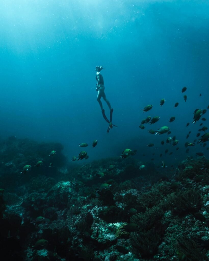 Bahamas yacht charter