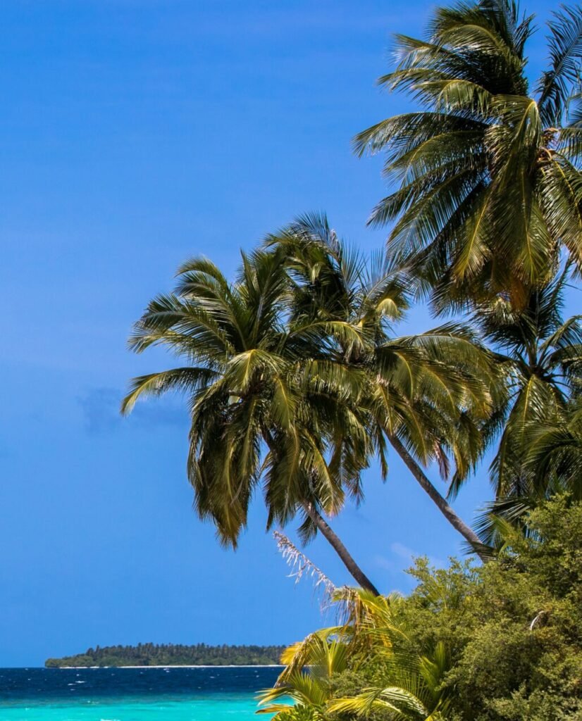 Bahamas yacht charter