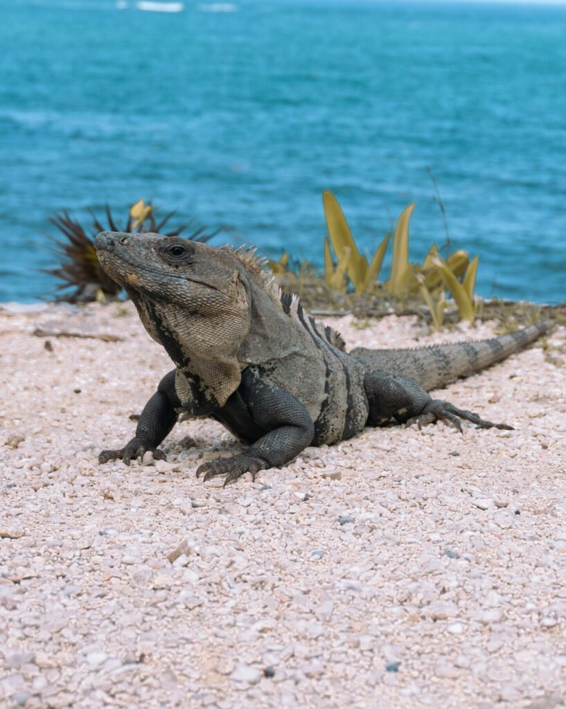 Bahamas yacht charter